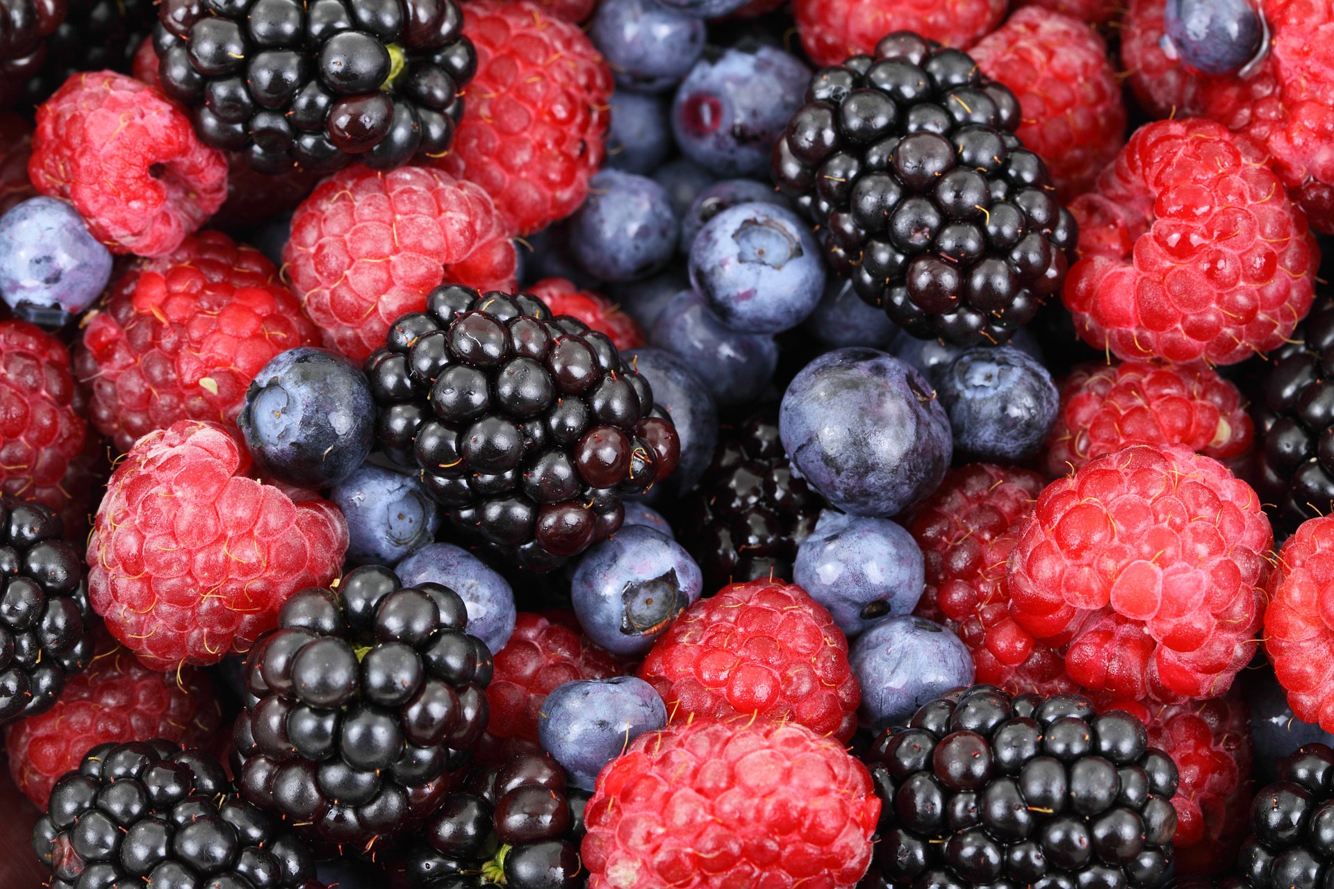 New health benefits discovered in berry pigment